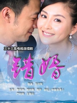 电视剧错婚演员表剧情简介