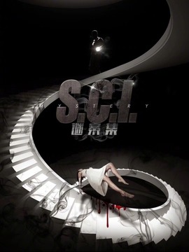 S.C.I.谜案集