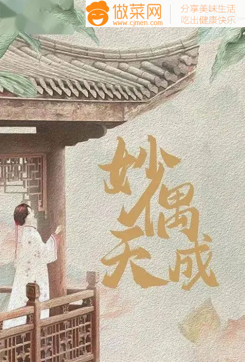 《妙偶天成》剧情分集介绍 妙偶天成结局是什么